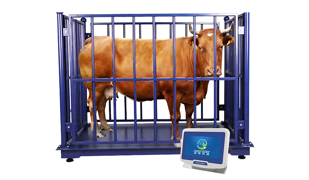 Digital Animal Scale Digital Animal Scale